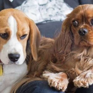 Meet your Posher, Christopher